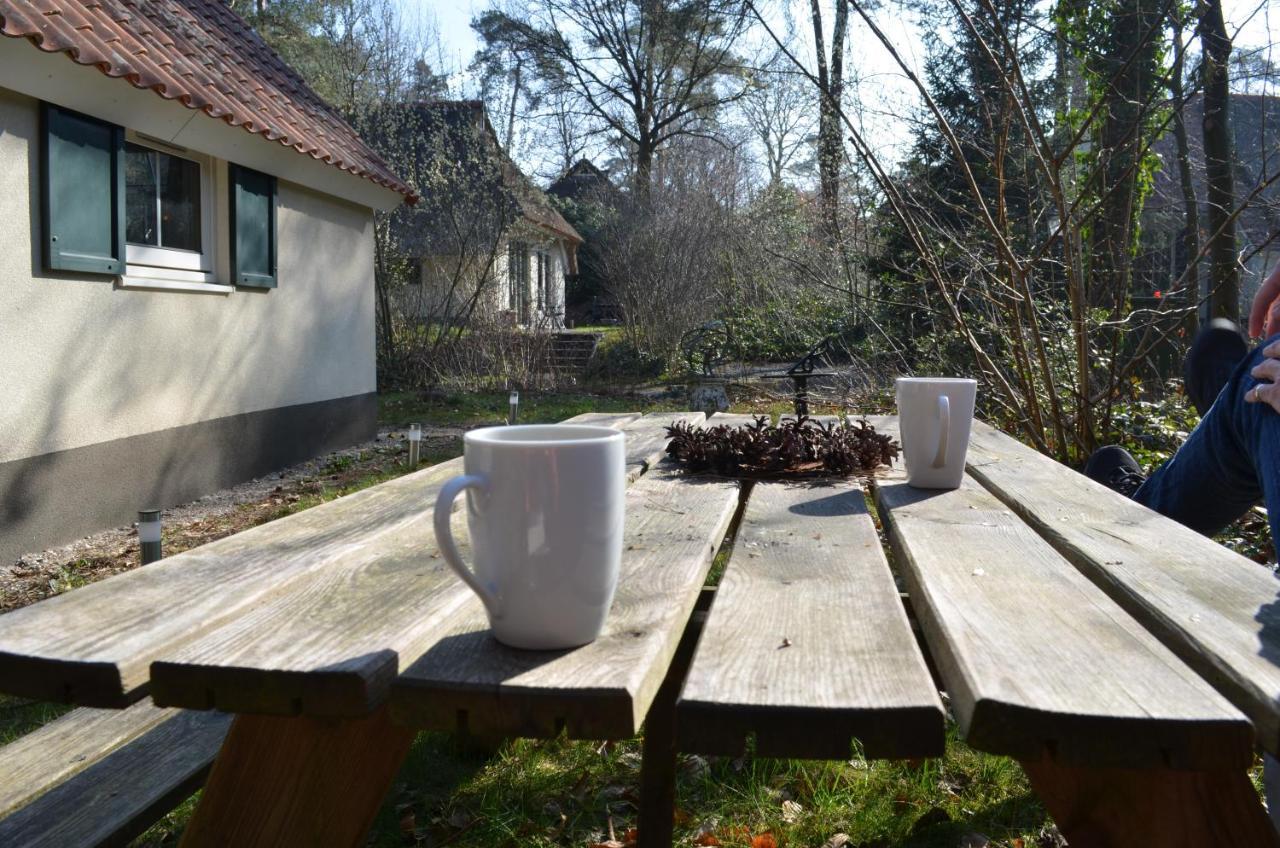 Vila Wittebergen25 IJhorst Exteriér fotografie